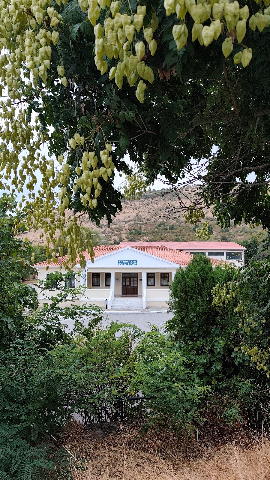 Όταν τα σοκάκια του Βογατσικού μιλούν με εικόνες