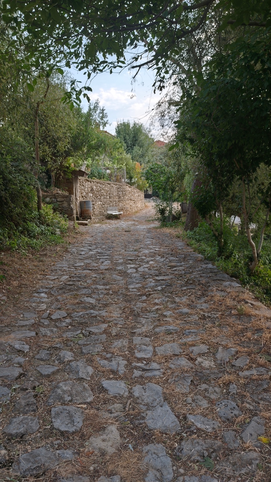 Όταν τα σοκάκια του Βογατσικού μιλούν με εικόνες