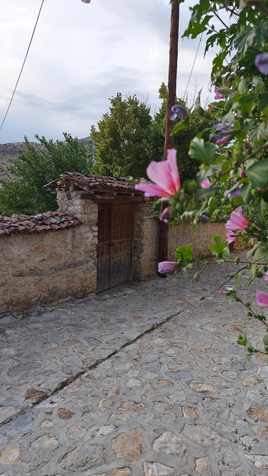 Όταν τα σοκάκια του Βογατσικού μιλούν με εικόνες
