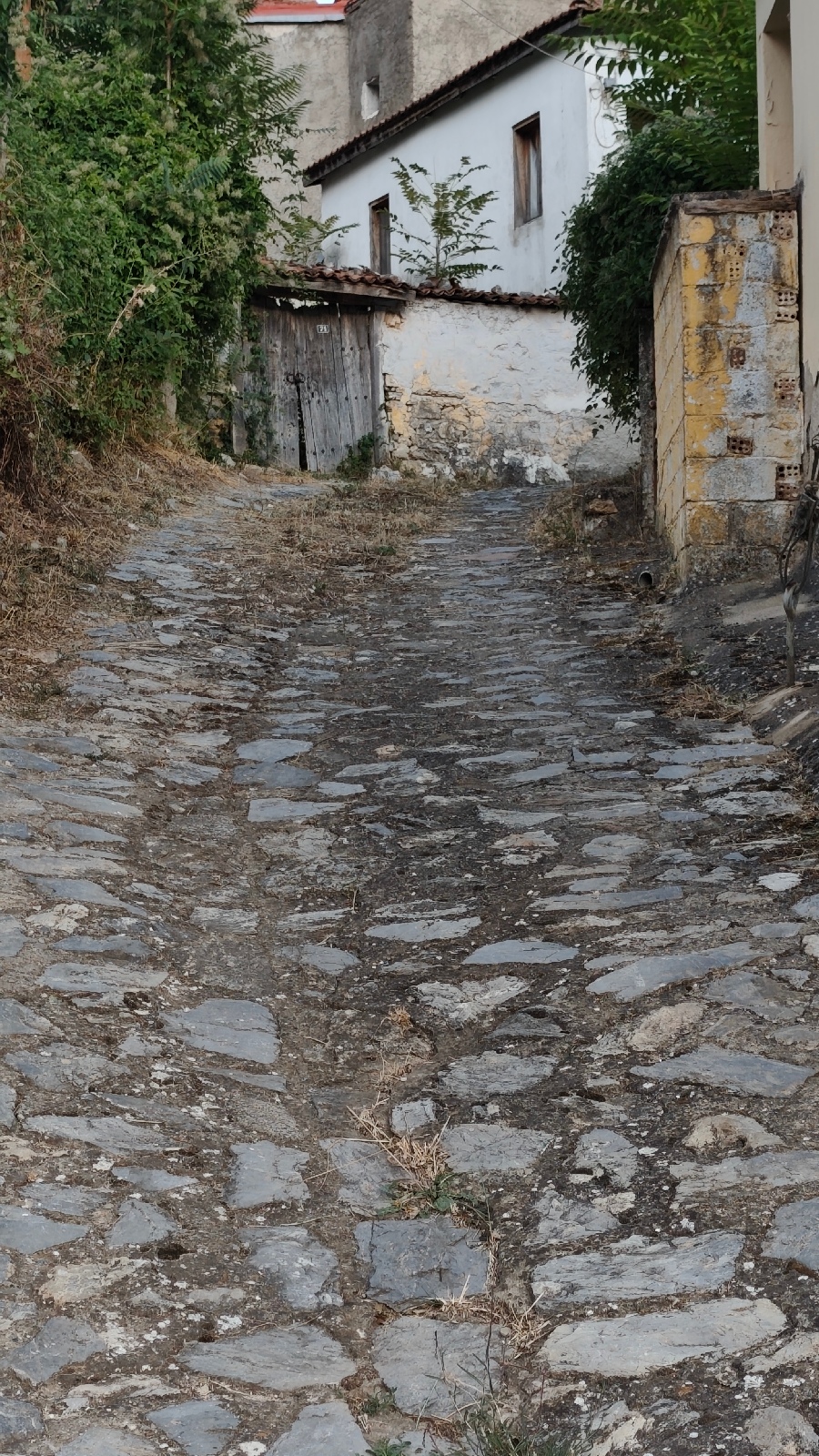 Όταν τα σοκάκια του Βογατσικού μιλούν με εικόνες