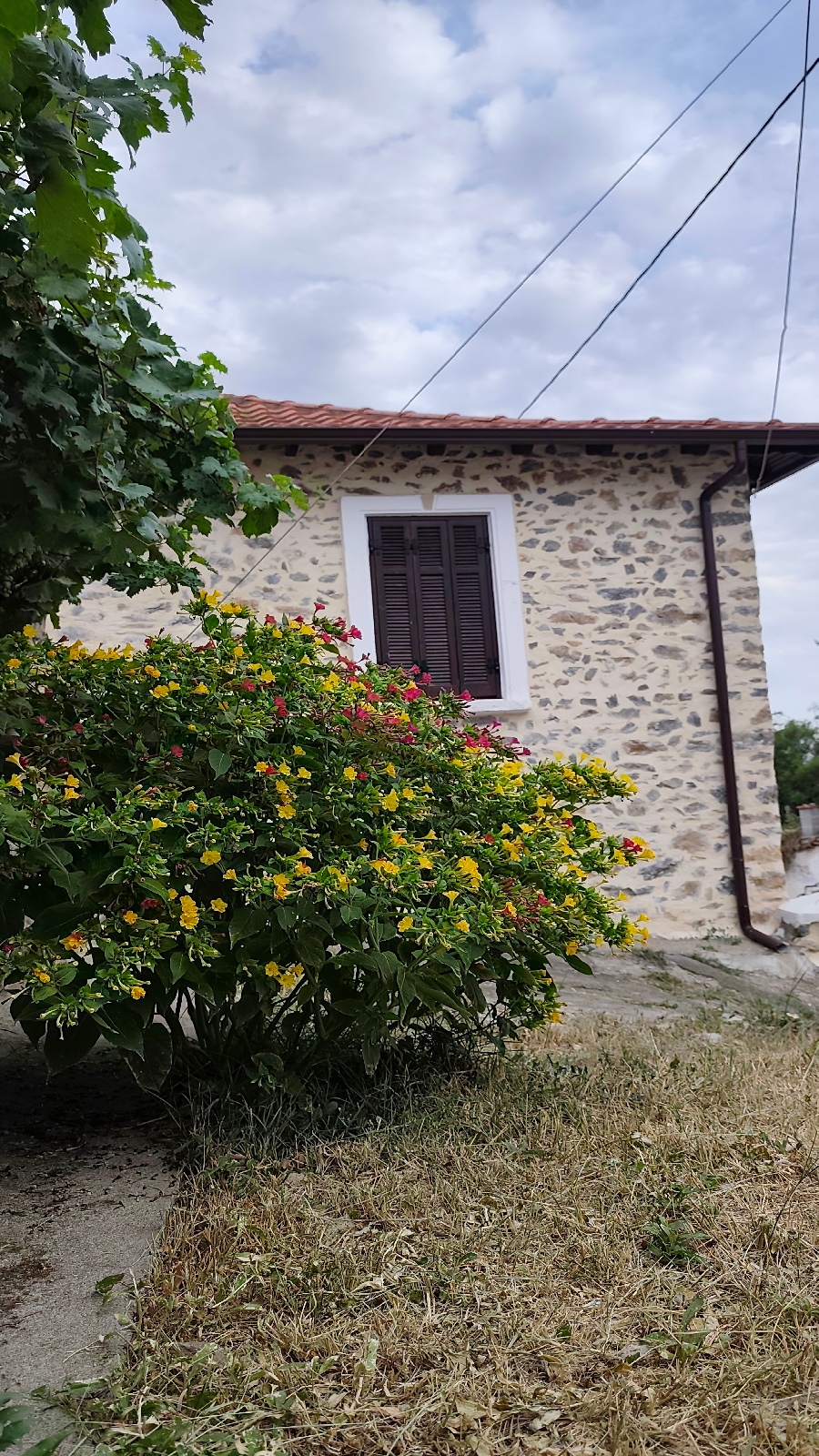 Όταν τα σοκάκια του Βογατσικού μιλούν με εικόνες
