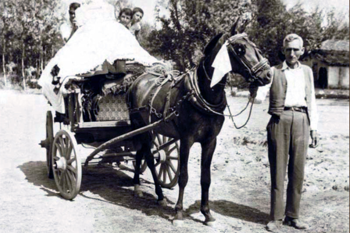 Βογατσικό Καστοριάς